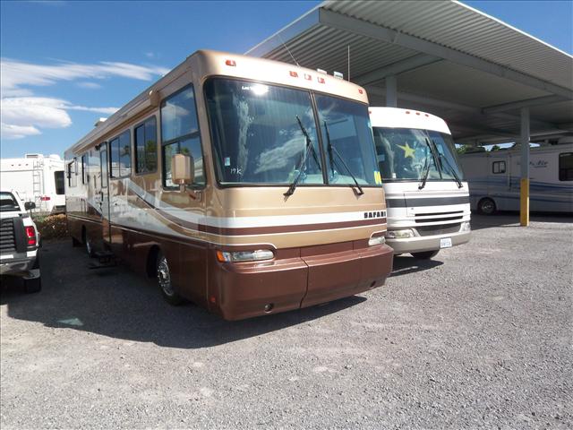 2000 Safari Serengetti