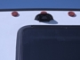 rear-camera-prep