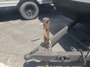leveling-system