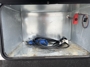generator-prep