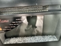 washer-dryer