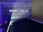 grey-wolf-light-on-floor