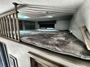 bunk-room