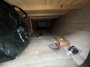 pass-through-storage