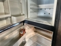 fridge-open
