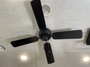 ceiling-fan