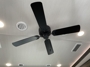 ceiling-fan