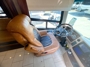 driver-seat