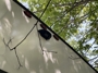 awning-2