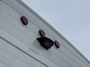 awning-2