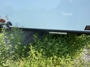 rear-hitch-rack