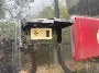 RV