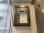 bathroom-mirror