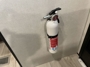 safety