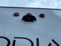 rear-camera-prep