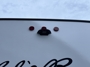 rear-camera-prep