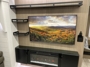 entertainment-center