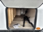pass-through-storage