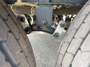 suspension-system