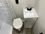 bathroom-1