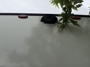rear-camera-prep