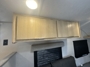cabinet-2