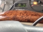 Odometer
