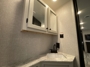 vanity