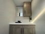 vanity