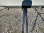 rear-hitch-rack