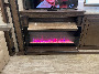RV