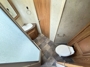 bathroom-2