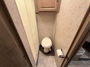 bathroom-2