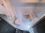 bathroom-2