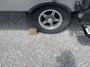 tires
