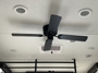 fan