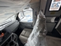 passenger-seat