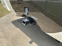 rear-hitch-rack