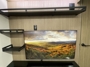entertainment-center