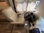 driver-seat