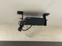 projector