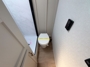 washer-dryer