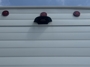 awning-2