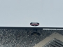 jacks