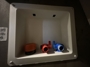 washer-dryer