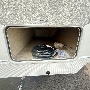RV