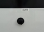 water-center-convenience-station