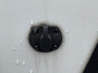 leveling-system