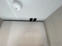 washer-dryer