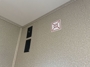 water-heater